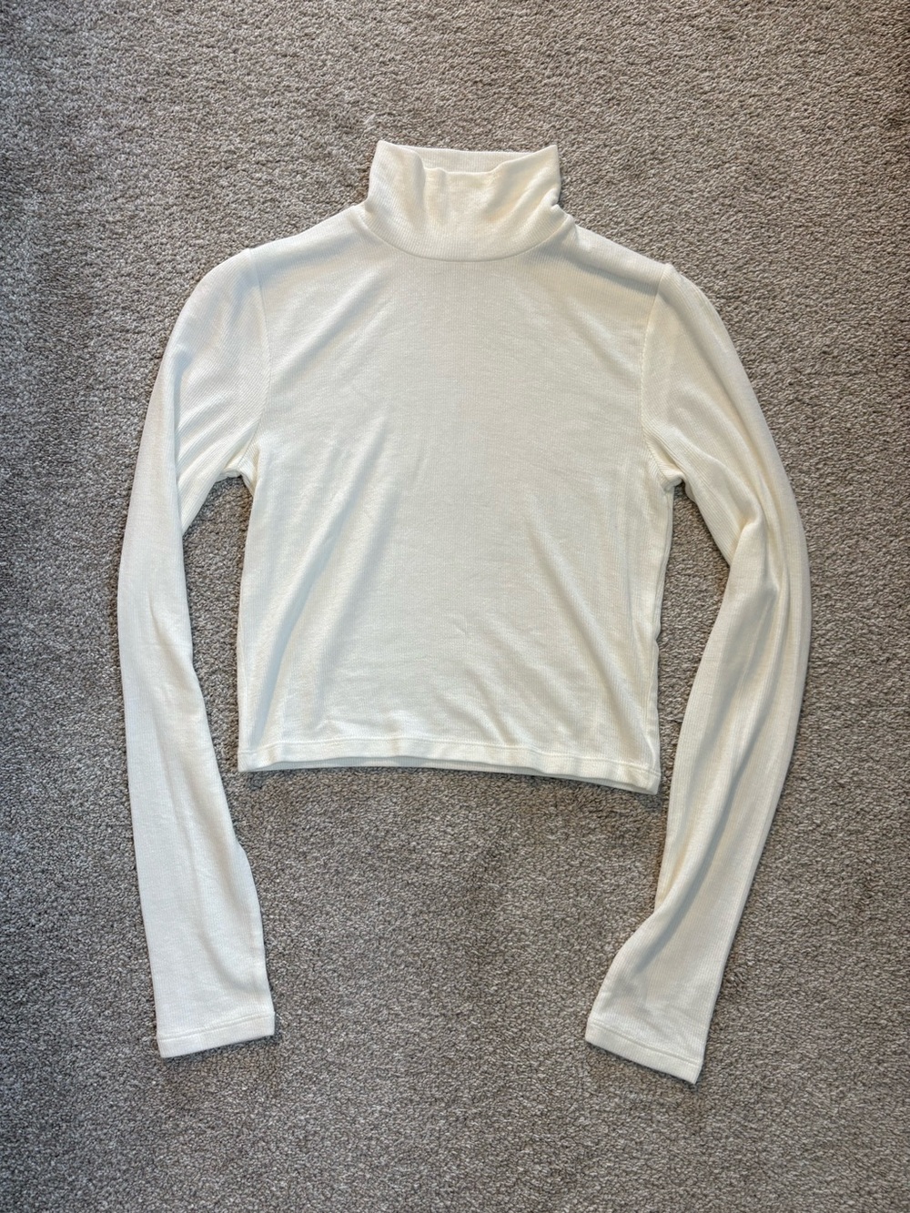 Aritzia Wilfred Only Turtleneck Longsleeve